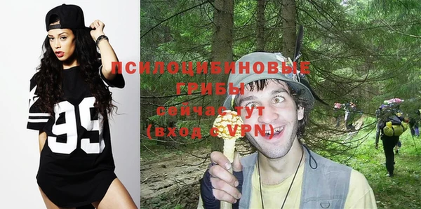 трава Магадан