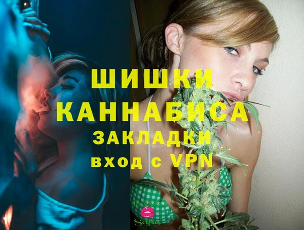 PSILOCYBIN Магас