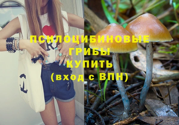 бутират Майский