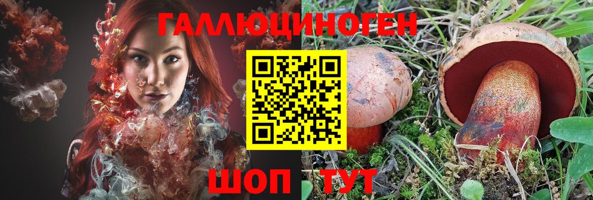 Псилоцибиновые грибы Psilocybine cubensis  Каспийск 