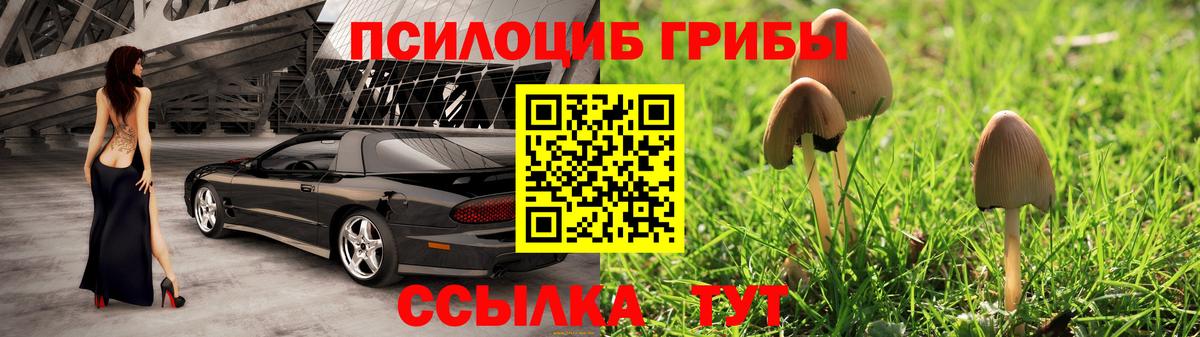 Псилоцибиновые грибы мухоморы Каспийск