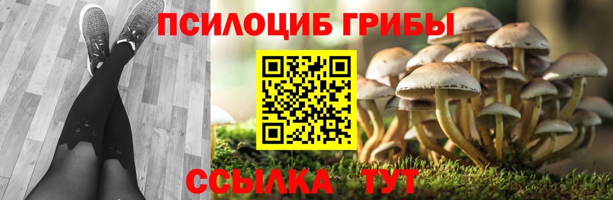 Псилоцибиновые грибы MAGIC MUSHROOMS Каспийск